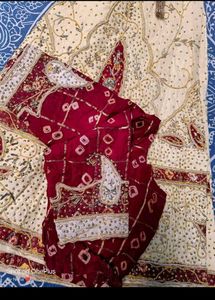 Embroidered Lehenga Choli