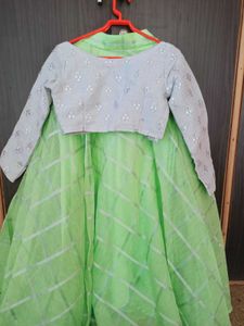 💚Lehanga Choli💚