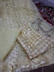 Elegant Lehenga Choli Set