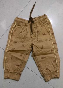 Animal Print Cropped Pants