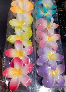 Buy 4 Flower Clature