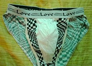 Checkerboard Print Brief