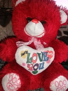 Red Teddy Bear