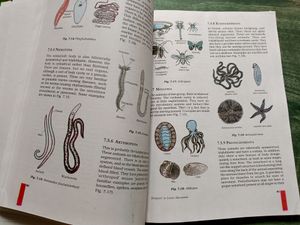 Science Textbook For Class 9