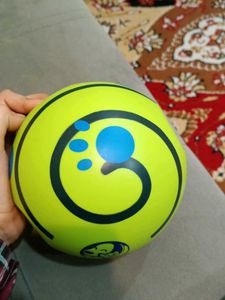 dog ball with sound video check