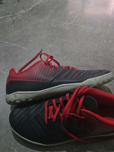 Unisex Sports /Regular Shoes