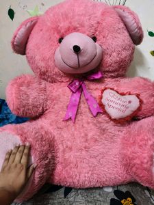 Pink Gaint Teddy Bear