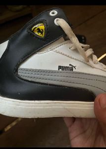 Puma Ferrari Sneakers