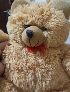 Teddy For Kids