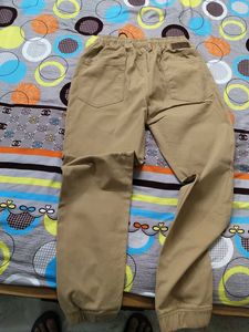 Mens Jogger Size 32