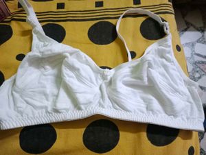 Shilpa Lingerie Briefs ( Pack Of 3)
