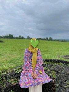 Colorful Printed Saree