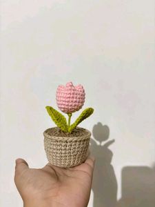 Crochet Tulip Pot