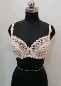 Elegant Lace Bra 38D