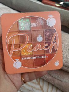 Sfr Color Peach Eyeshadow Palette 😍