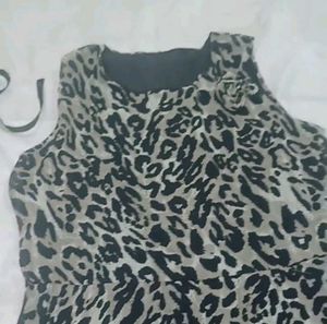 Cheetah Print Dress And Urbanic Two Toned Top