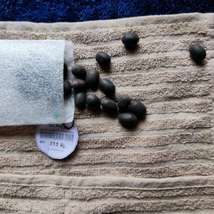 Original Kamal Gatta Lotus Seeds 21 Pcs Lakshmi P