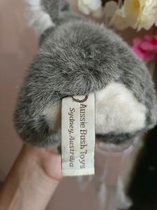 Cute Koala Soft Toy (Imported)🐨♥️