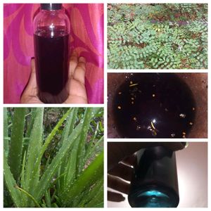 Homemade Indigo Aleovera Oil