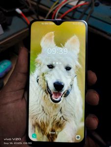 Samsung F41