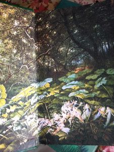 Irish Fairy &amp; Folk Tales