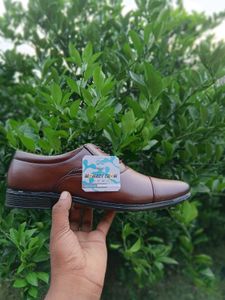 Brown Leather Oxford Dress Shoes