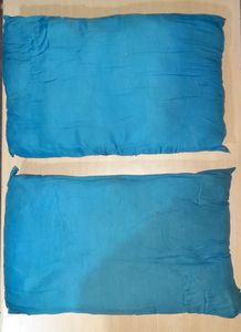 Set Of 2 Blue Colour Pillows