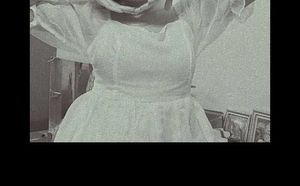 Organza Dress