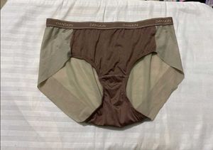 Danskin Beige Briefs 30-32