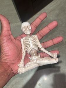 Skeletal Show Peices.
