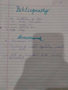 Class 11 Political Science Practical File