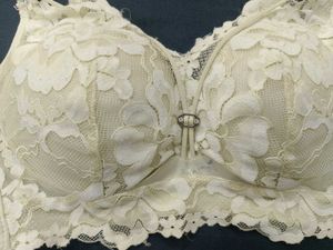 Offer Price Combo Sexy Imported Bra