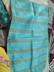 Saree Cover 8 Pics