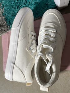 Roadster Canvas Shoes Unisex
