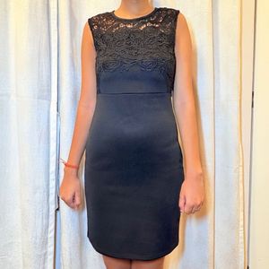 Black Lace Bodycon Dress