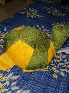 🐢 Toy And Elephant Cap Combo