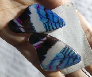 Y2k Core Butterfly Wings &amp; Sea Beach Studs 🌊 🪽