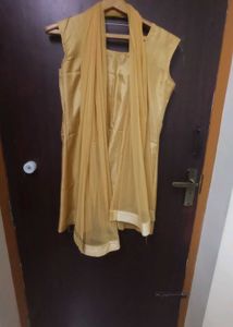 Elegant Gold Embroidered Mastani Suit