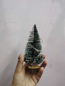 Miniature Christmas Tree✨