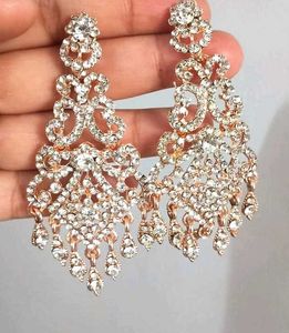 Sparkling Dangle Earrings