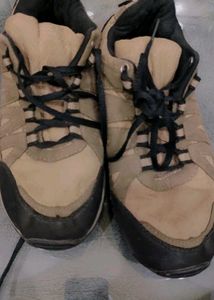 HIGHLY AFFORDABLE SREE LEATHER PREMIUM SHOES