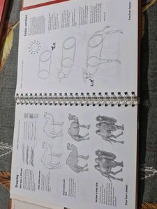 Draw Really Cool Stuff Book