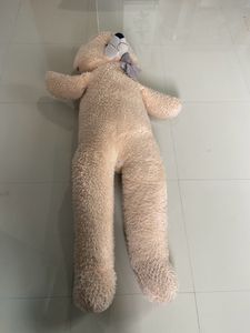 Giant Teddy