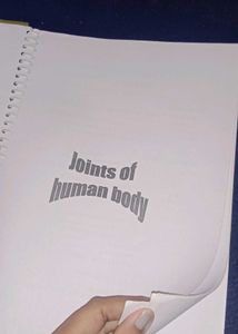 Anatomy Imp Notes