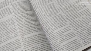 NEET 31 YEARS CHAPTER WISE SOLUTION