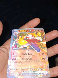 Pokemon Card Collection