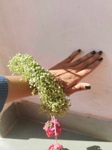 Handmade Kalira &#39;s For Haldi &amp; Mehandi Function
