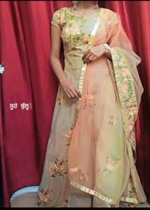 (Price Drop) New Ethnice Gown Beautiful Embroidery