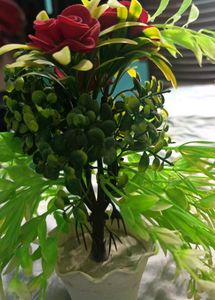 3 Combo Set Of Mini Pot With Decorative Plants