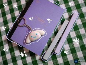 Sanrio Keychain Cinnamon Roll